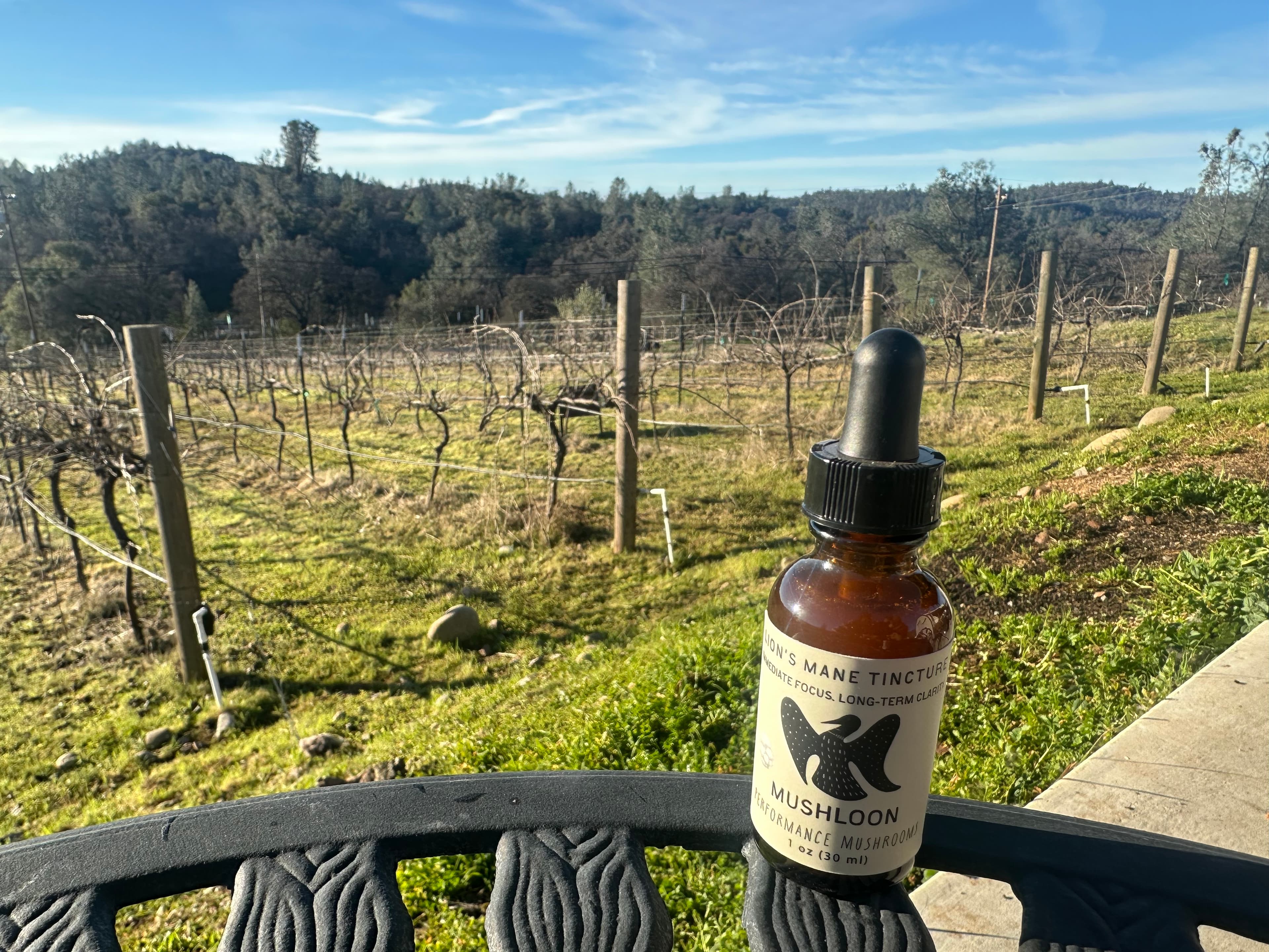 MushLoon Lion's Mane tincture bottle in front of dormant vineyard rows and Sierra Nevada foothills